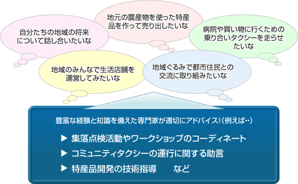 アドバイザーの役割（例）