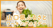 山口県ふるさとワーキングホリデー