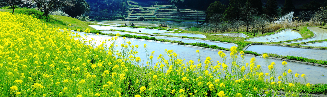 中山間地域のイメージ